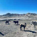 Photo taken by Sophie S