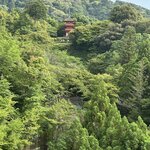 Photo taken by Susan M