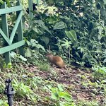 Photo taken by Lauren A