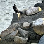 Photo taken by Lisa S