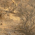 Photo taken by Nigel R