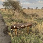 Photo taken by Kristin M