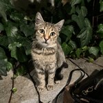 Photo taken by Patricia O