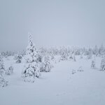 Photo taken by Bianca C