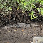 Photo taken by Natasha J