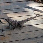 Photo taken by Pat K