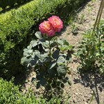 Photo taken by Judi S