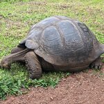 Photo taken by Jennifer A