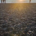 Photo taken by madison r