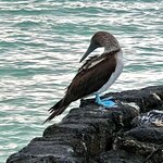 Photo taken by Thomas R