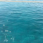 Photo taken by Karen Z