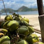 Photo taken by Judith D