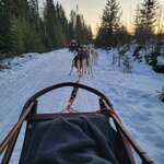 Photo taken by Charlotte E