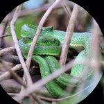 Photo taken by Victoria E