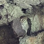 Photo taken by Jennifer A