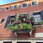 Photo taken by Susan M