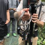 Photo taken by Anna L