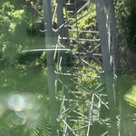 Photo taken by jean G