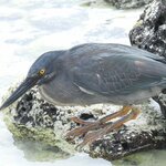 Photo taken by Patricia D