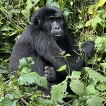 Photo taken by Michael L