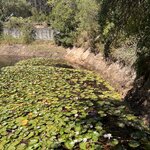 Photo taken by Michael M