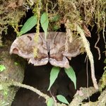 Photo taken by Susan D