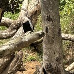 Photo taken by Bonnie Y