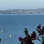 Photo taken by Martha D