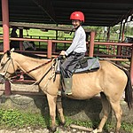 Photo taken by Michelle D