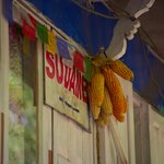 Photo taken by Peter M