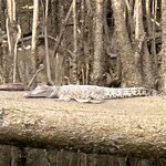 Photo taken by Amy W