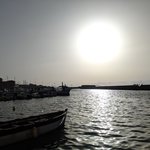 Photo taken by PADMABEN P