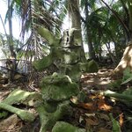 Photo taken by Brett F