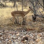 Photo taken by Nigel R