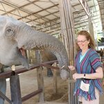 Photo taken by Megan H