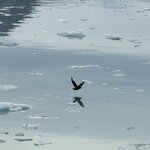 Photo taken by sam s