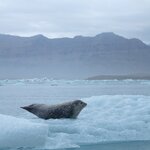 Photo taken by Bob M