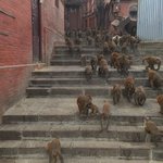 Photo taken by Ailson S