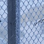 Photo taken by Moses K