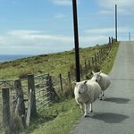 Photo taken by George B