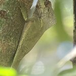 Photo taken by Mathew S