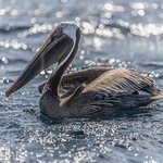 Photo taken by mindy n