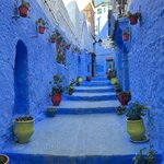 Photo taken by Jen R