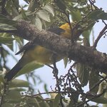 Photo taken by Kristen L