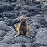 Photo taken by Lindsey F