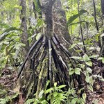 Photo taken by Samantha S