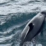 Photo taken by Darcy M