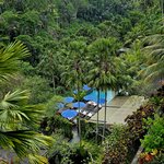 Photo taken by Nancy P