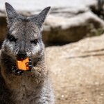 Photo taken by Linnaea M