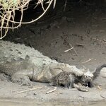 Photo taken by Sara W